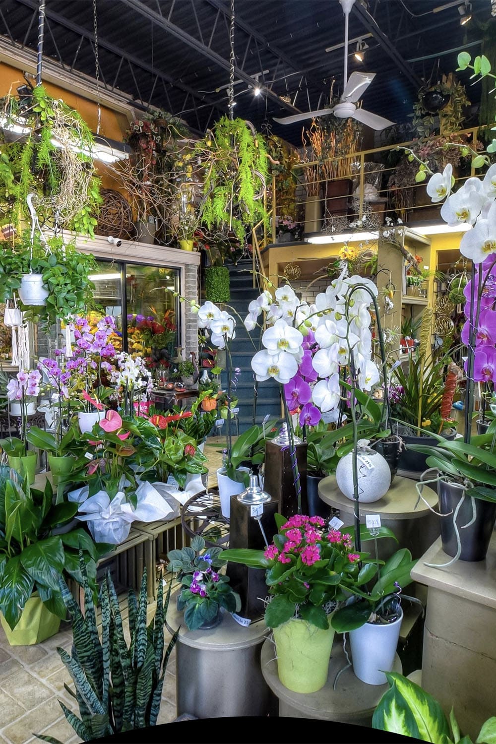 Livraison Fleurs
